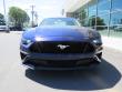New 2019 Ford Mustang Coupe near Belmont