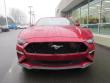New 2019 Ford Mustang Coupe near Belmont