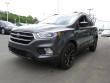 New 2019 Ford Escape SE SUV near Belmont