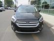 New 2019 Ford Escape Titanium SUV near Belmont