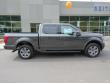 New 2019 Ford F-150 Truck SuperCrew Cab near Belmont