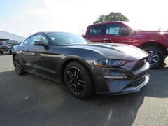 2019 Ford Mustang Coupe