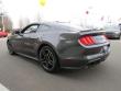 New 2019 Ford Mustang Coupe near Belmont