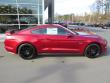 New 2019 Ford Mustang Coupe near Belmont