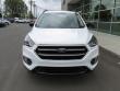 New 2019 Ford Escape SE SUV near Belmont