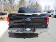 New 2019 Ford F-150 Truck SuperCrew Cab near Belmont