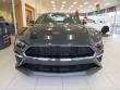 New 2019 Ford Mustang BULLITT Coupe near Belmont