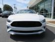 New 2019 Ford Mustang Coupe near Belmont