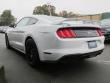 New 2019 Ford Mustang Coupe near Belmont