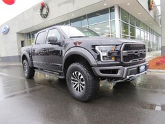 2019 Ford F-150 Raptor Truck SuperCrew Cab