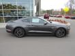 New 2019 Ford Mustang Coupe near Belmont