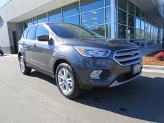 2019 Ford Escape SE SUV