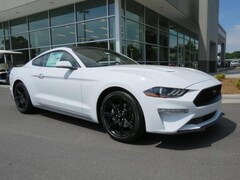 2019 Ford Mustang Coupe