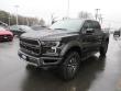 New 2019 Ford F-150 Raptor Truck SuperCrew Cab near Belmont