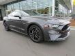 New 2019 Ford Mustang Coupe near Belmont