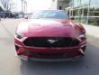 New 2019 Ford Mustang Coupe near Belmont