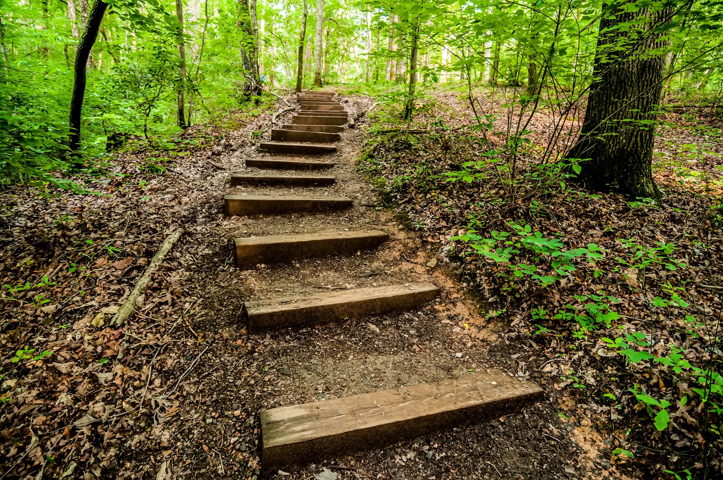 Crowders Mountain State Park