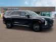 New 2025 Hyundai Palisade Calligraphy Night Edition AWD SUV near Belmont