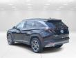 New 2025 Hyundai Tucson Hybrid Limited SUV near Belmont