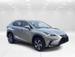 2020 LEXUS NX 300h SUV