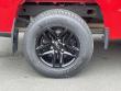 2019 Chevrolet Silverado 1500 Custom Trail Boss Truck