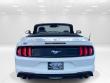 2021 Ford Mustang Ecoboost Premium Convertible