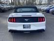 2021 Ford Mustang Ecoboost Premium Convertible