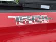 2019 Chevrolet Silverado 1500 Custom Trail Boss Truck
