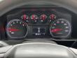 2019 Chevrolet Silverado 1500 Custom Trail Boss Truck