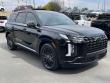 New 2025 Hyundai Palisade Calligraphy Night Edition AWD SUV