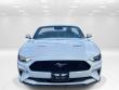 2021 Ford Mustang Ecoboost Premium Convertible