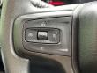 2019 Chevrolet Silverado 1500 Custom Trail Boss Truck