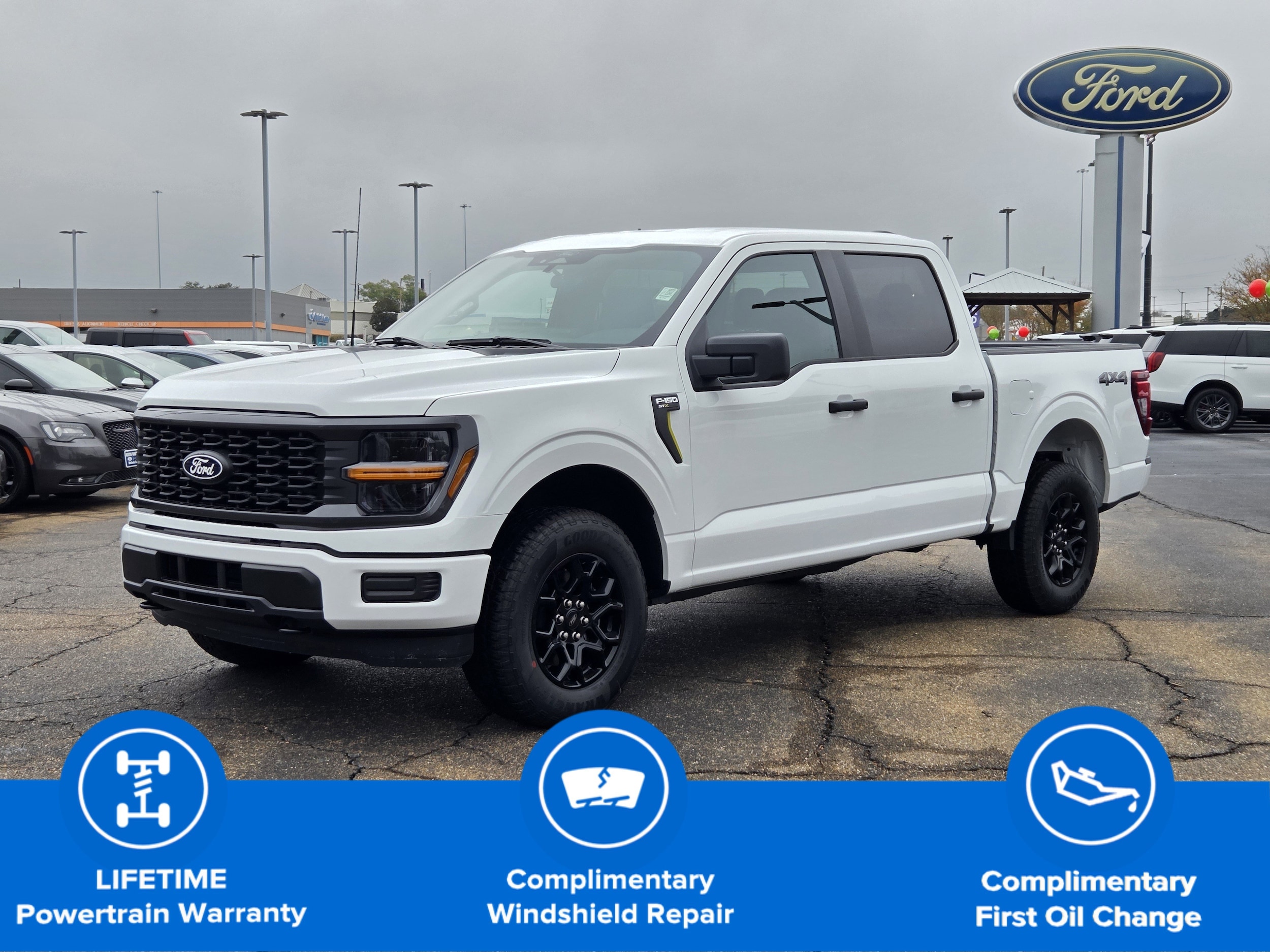 2025 Ford F-150 STX's photo