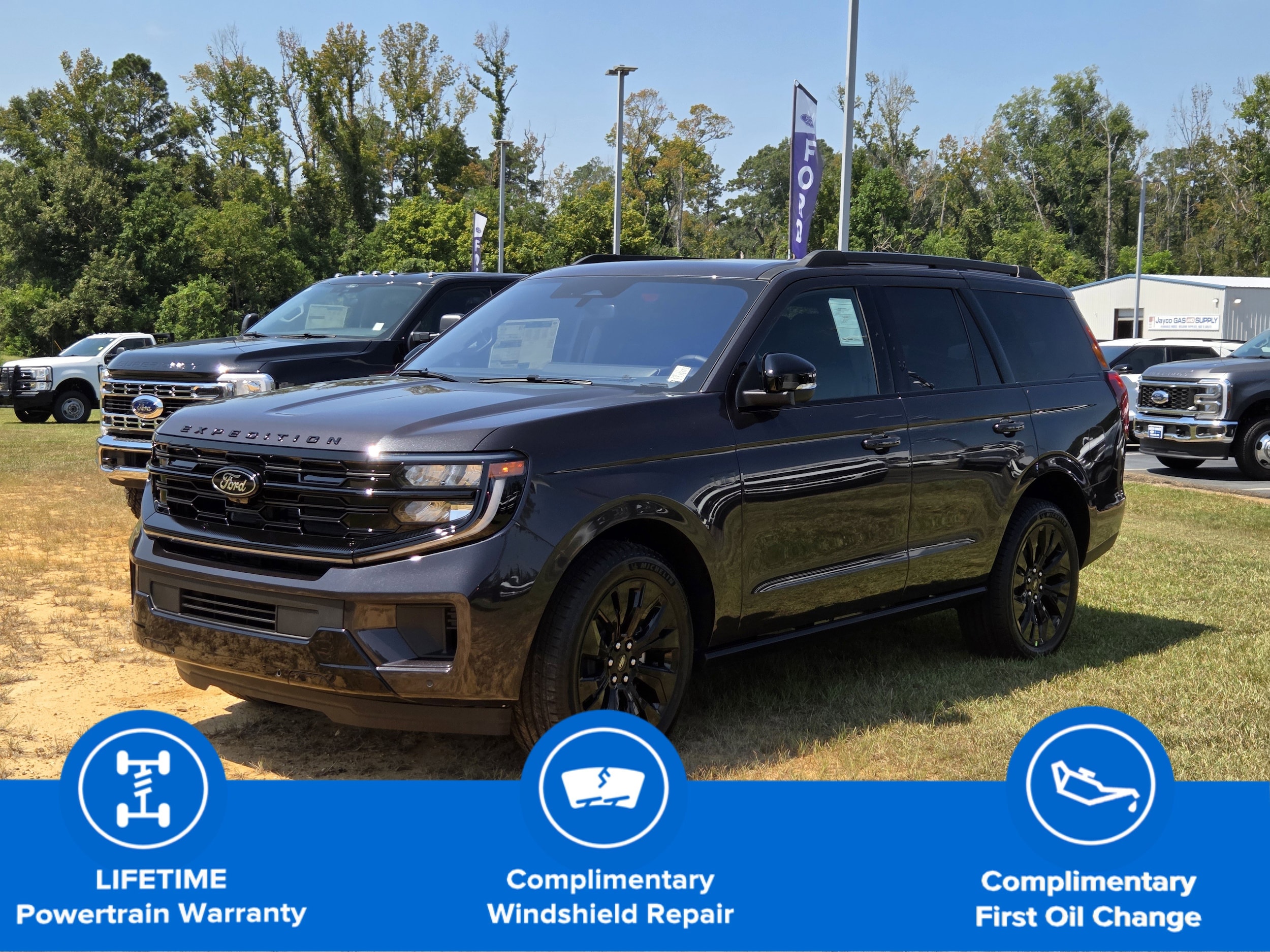 2025 Ford Expedition Platinum's photo