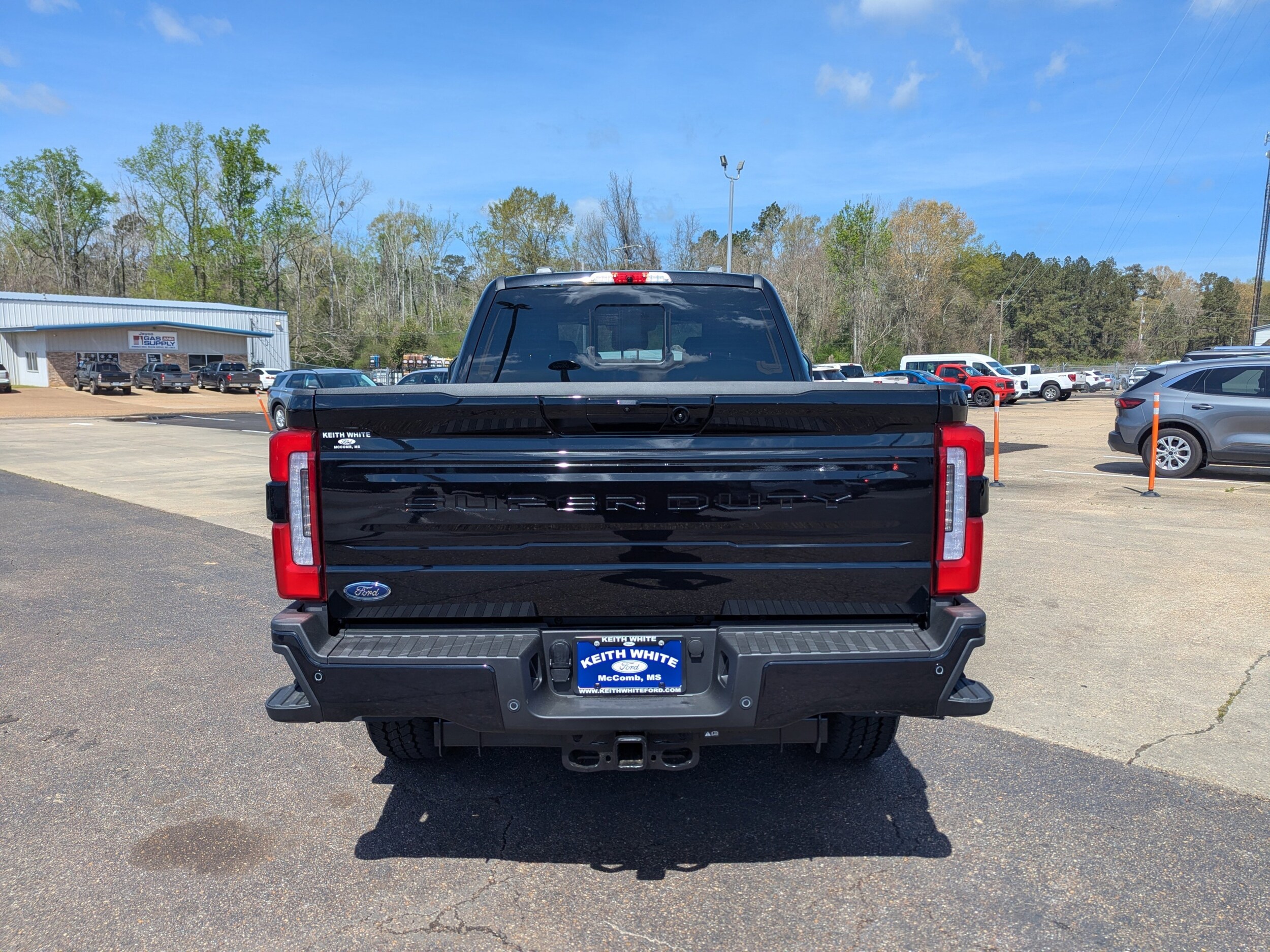 2025 Ford F-250 Platinum photo 4