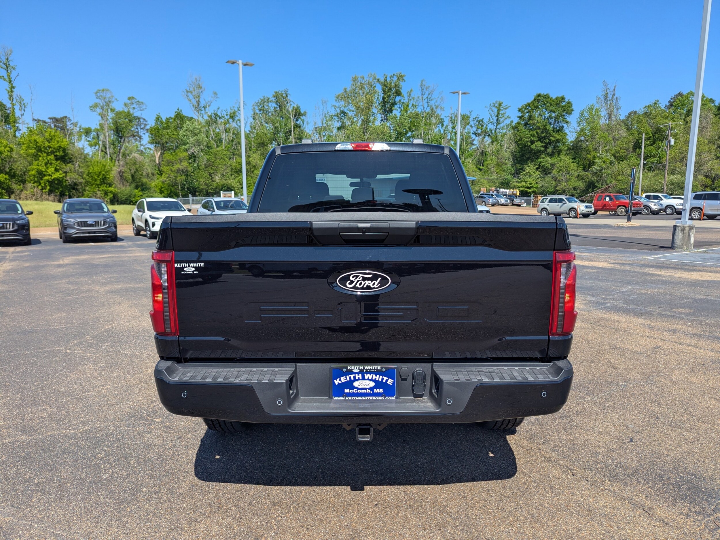 2025 Ford F-150 STX photo 4