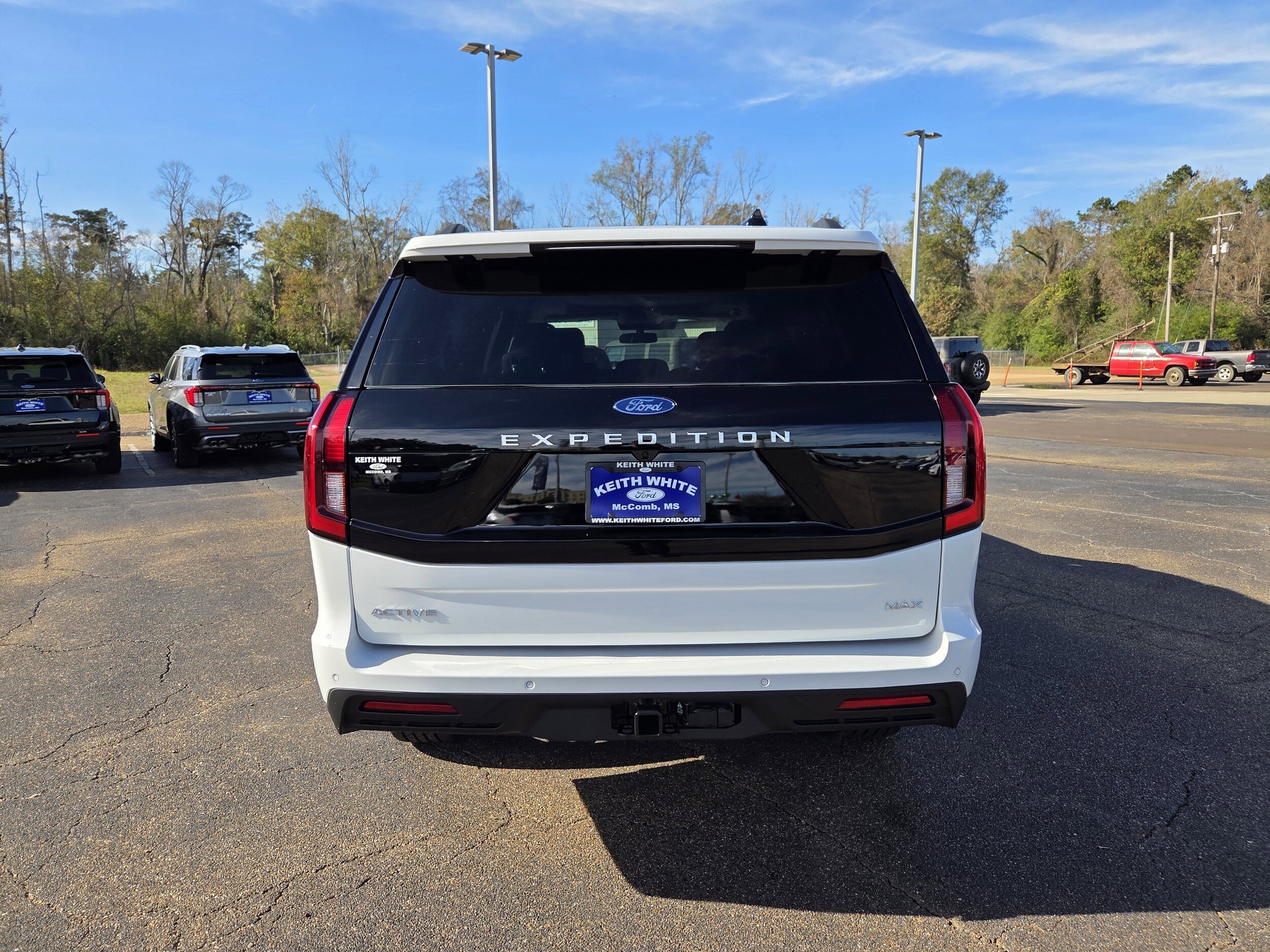 2025 Ford Expedition MAX photo 3