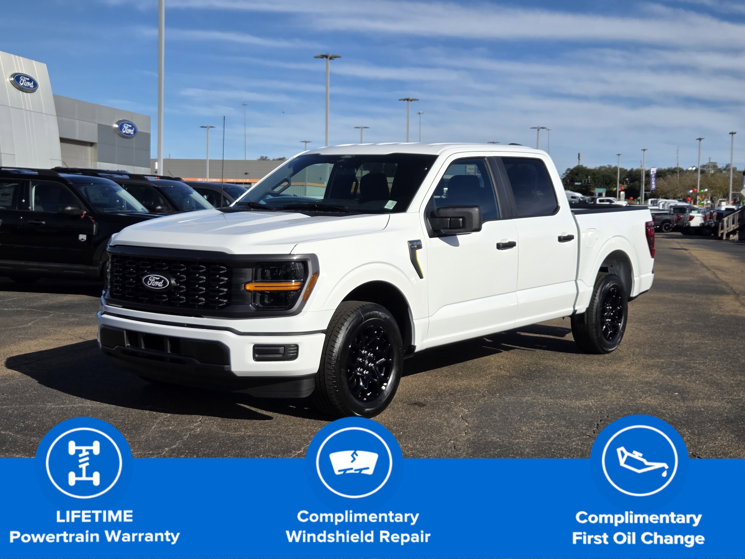 2025 Ford F-150 STX's photo