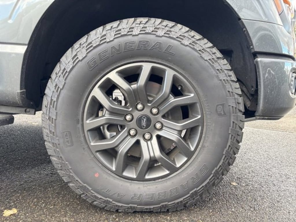 New 2025 Ford F-150 Tremor Truck