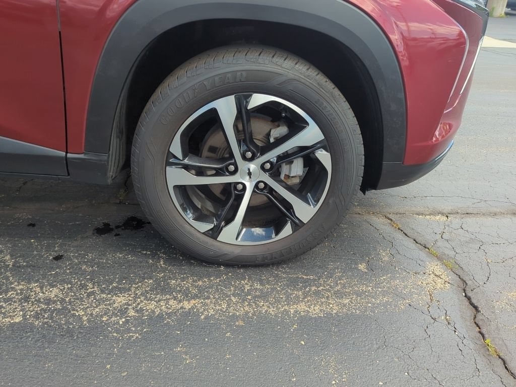 Photo 11