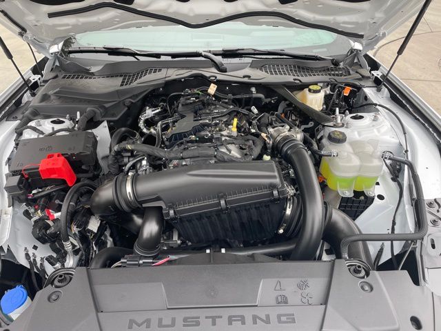 2025 Ford Mustang EcoBoost Premium Fastback - Photo 27