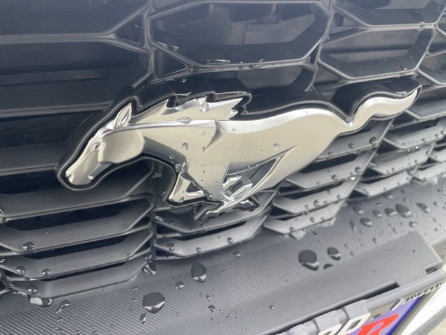 2025 Ford Mustang EcoBoost Premium Fastback - Photo 28