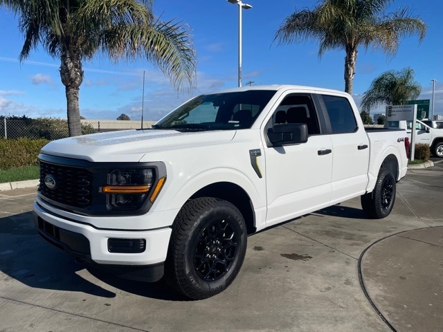 2025 Ford F-150 STX's photo