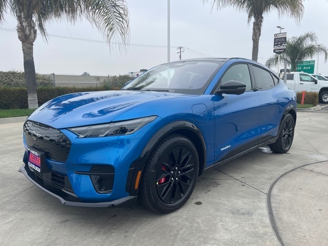 2025 Ford Mustang Mach-E Premium RWD's photo