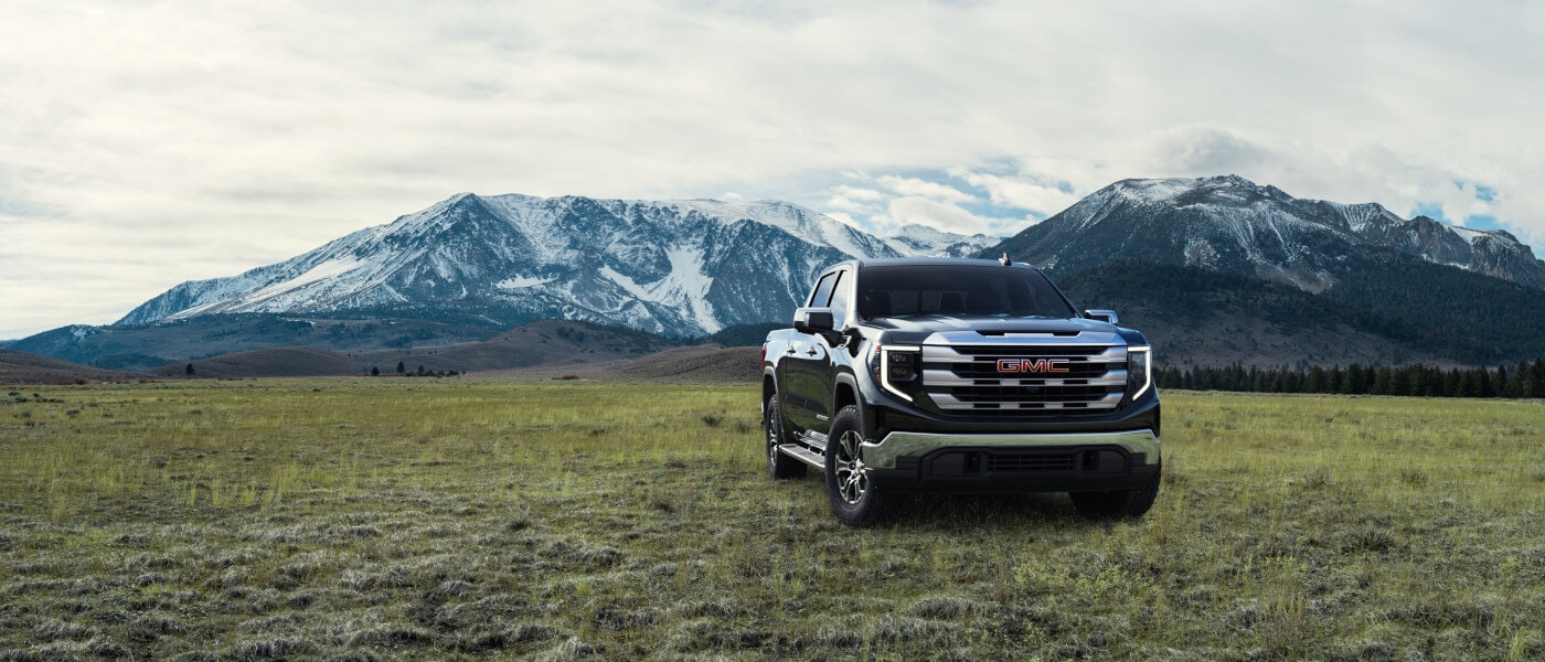 2025 GMC Sierra 1500 Exterior Parked In A Grassy Valley