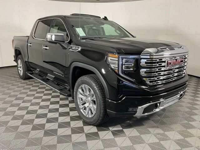 2025 Gmc Sierra 1500 Denali photo 3