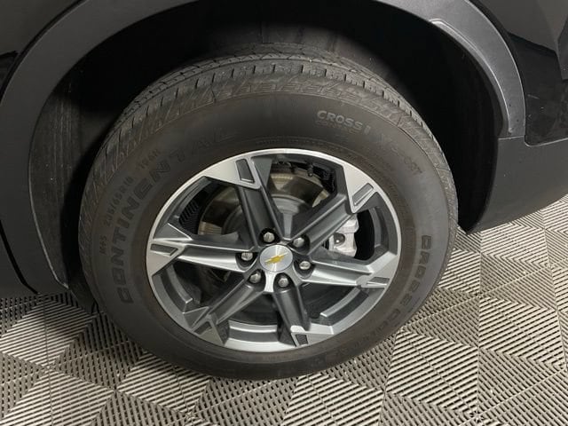 Photo 41