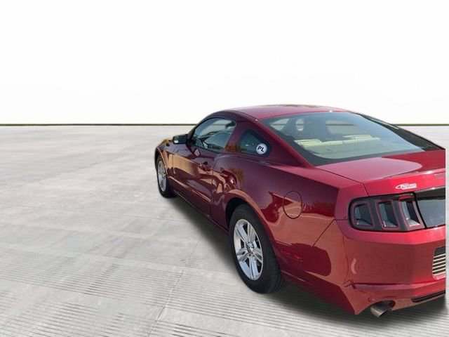 2014 Ford Mustang V6 photo 4