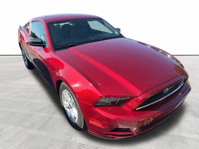 2014 Ford Mustang V6 photo 2