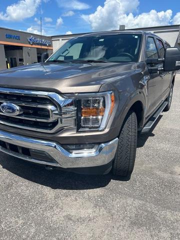 Used 2023 Ford F-150 XLT with VIN 1FTFW1E85PFA04291 for sale in Melbourne, FL